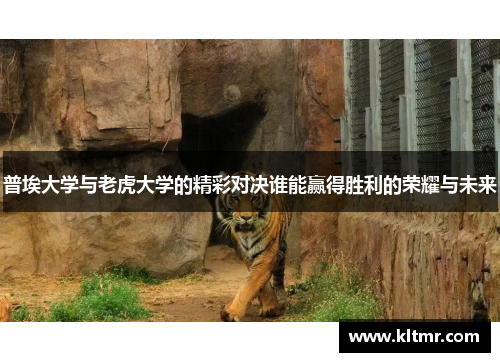 普埃大学与老虎大学的精彩对决谁能赢得胜利的荣耀与未来